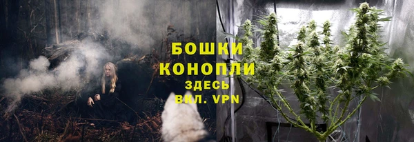 дурь Алзамай