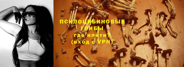 экстази Алексин