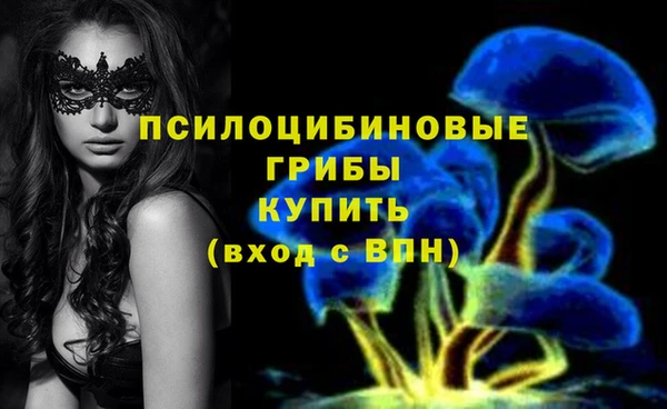 дурь Алзамай