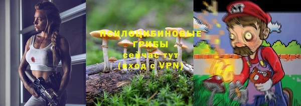 дурь Алзамай