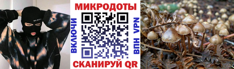 Галлюциногенные грибы Psilocybe  как найти закладки  Лукоянов 
